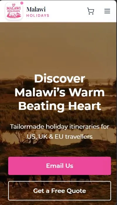 Homepage – Mobile view